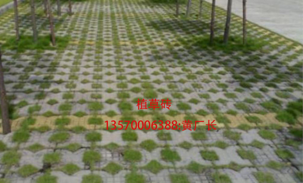 背心磚，植草磚現(xiàn)場工程效果